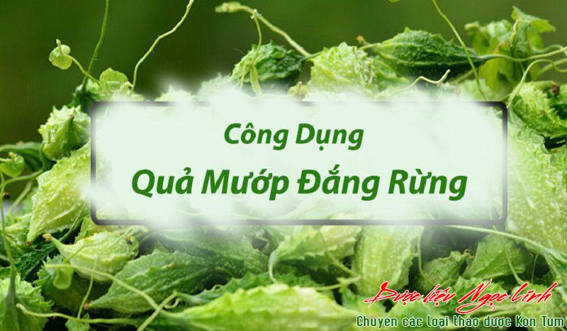 Rất nhiều thành phần được tìm ra đã chứng minh công dụng trị bệnh của cây này